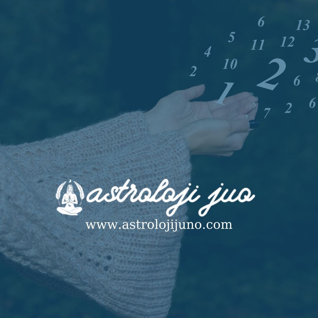 Numeroloji nedir ve numerolojide sayıların anlamı nedir?